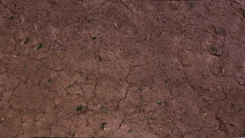 Slow time lapse view of soil drying and cracking in a farm field, 4K. Stock Footage 231887689