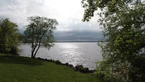 Slow track left by lakeside bench and lone tree, glittering water under grey sky Stock Footage 320003362