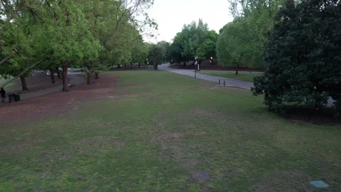 Slow Tracking Shot in Overcast Spooky Park Stock Footage 292918329