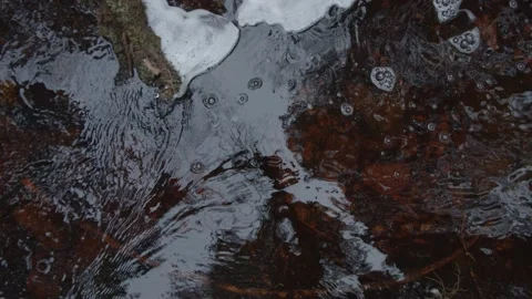 Slow tracking shot of a small bubbling stream flowing calmly  Stock Footage 146278438