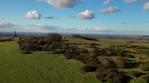 A slow transverse flight over trees in Wiltshire with the chalk downs Stock Footage 303251271