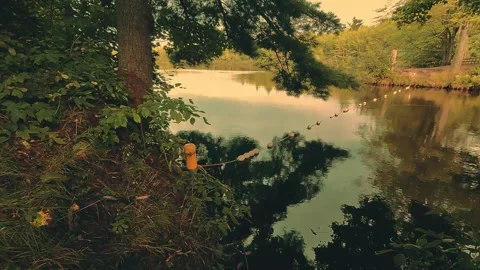 Slow Turning Shot Of A Lake Surrounded By Green Trees Video stock 255175035