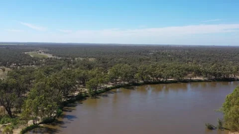 Slow turning watercourse of Murray river in Riverina of Australia – aerial 4k. Stock Footage 169332650