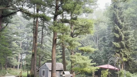 Slow Upward Pan Across Backyard During Canadian Wildfire Smoke Stock Footage 339834594