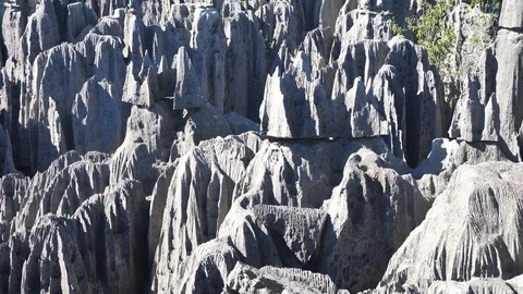 Slow Upward Pan of Endless Limestone Peaks, Tsingy, Madagascar Stock Footage 117433235