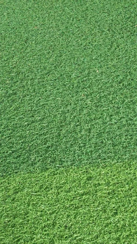 Slow Walk Across Artificial Green Grass Stockbeeldmateriaal 341452793