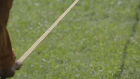 Slow walk of bare feet on stretched slackline in green park Stock Footage 83588261
