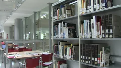 Slow walk in a library Stock Footage 20998095