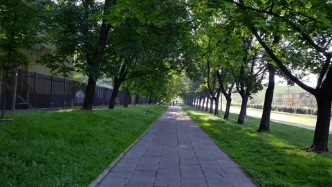 Slow walk through the park. 動画素材 76251441
