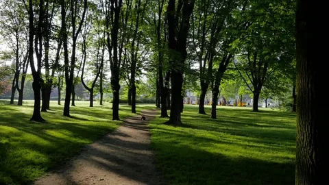 Slow walk through the park. 库存影片 76251446