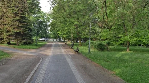 Slow walk through the park. Smooth flycam shoot.  Stock-Footage 77201820