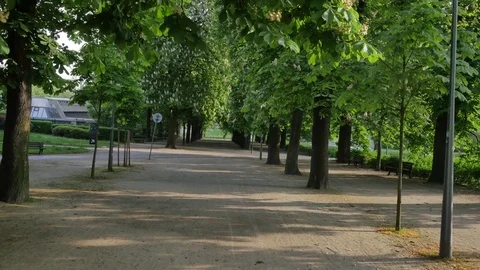 Slow walk through the park. Smooth flycam shoot.  Stock Footage 77201913