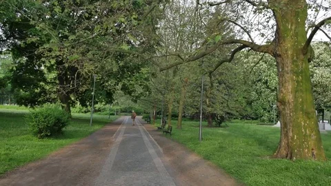 Slow walk through the park. Smooth flycam shoot.  Stock-Footage 77201948