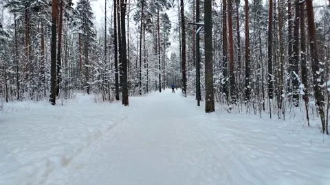 A slow walk in the winter park. Slowmotion Stock Footage 336563853