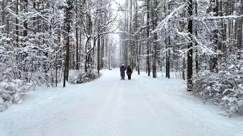 A slow walk in the winter park. Slowmotion 動画素材 336563883