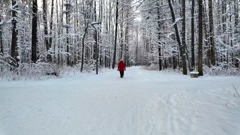 A slow walk in the winter park. Slowmotion Stock-Footage 336563914