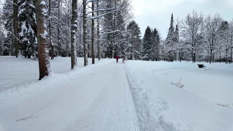 A slow walk in the winter park. Slowmotion Video stock 336563917