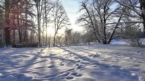 A slow walk in the winter park. Slowmotion Stock Footage 336563947