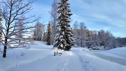 A slow walk in the winter park. Slowmotion Stock-Footage 336563977