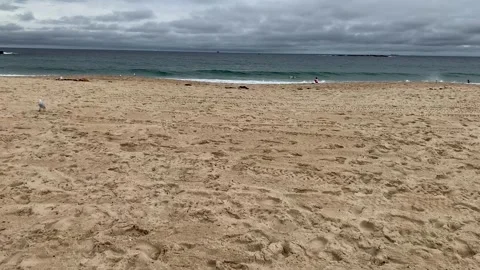 Slow walking on a beach to the ocean Stock Footage 164570757