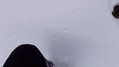 Slow Walking on Fresh Snow Road POV Stock Footage 326377003