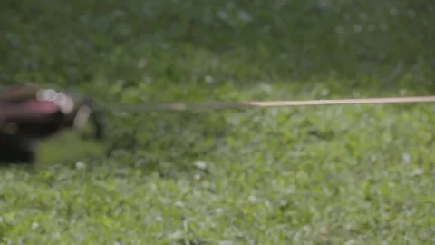 The slow walking of the man on the stretched slackline and the subsequent jump Stock Footage 83589423