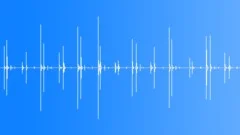 Slow walking in shoes - dry loop Sound Effect