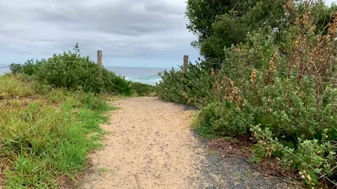 Slow walking towards the sea Stock Footage 162656959