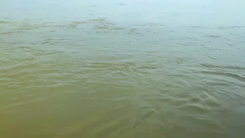 Slow water flow ( Sone - River Dehri-on-sone ) Stock Footage 154390468