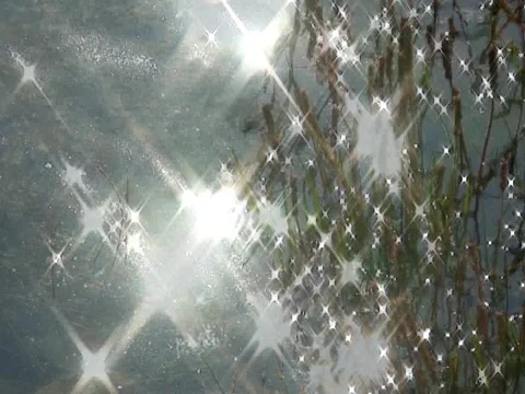 Slow Water Stock Footage 490234