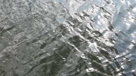 Slow water ripples Stock Footage 123555595