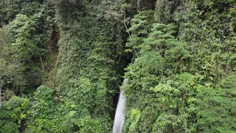Slow waterfall descend Stock Footage 329884533