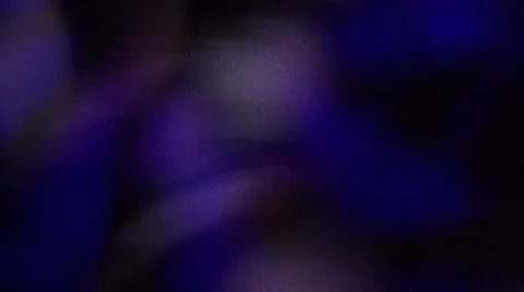 Slow Wave Stock-Footage 11693391