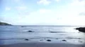 Slow waves rolling into a quiet bay on a sunny day HD Footage