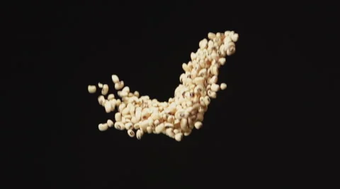 SLOW: White beans up and down on a black background Stock Footage 64416799