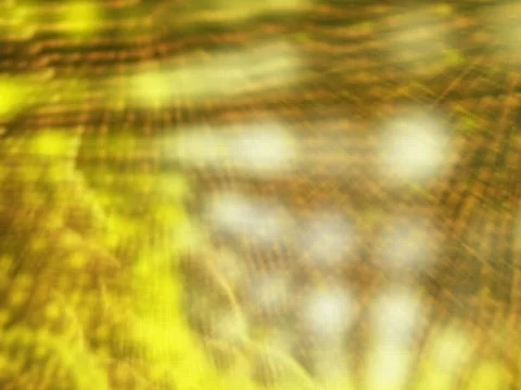 Slow yellow dot ripple Stock Footage 792133