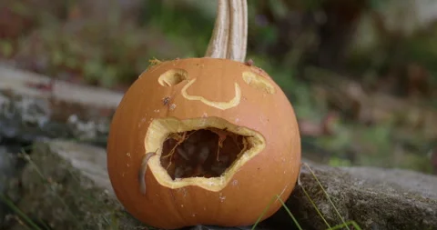 Slow Zoom into Jack-o-lantern with Slug on it Stock Footage 320666505