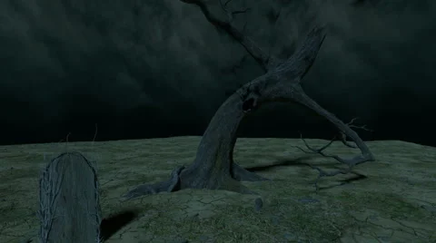 A slow zoom in of an old tree with a stream of bats Stock Footage 41671110