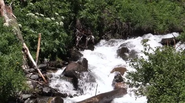 Slow zoom out spring runoff creek in the mountains Stock Footage 85771754