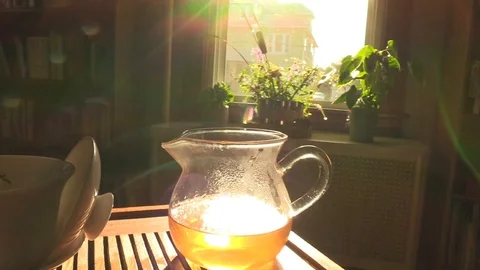 Slow Zoom out from tea with sun flare Stock Footage 93164852