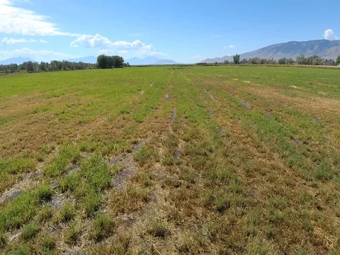 Slow Zoom Over Muddy Field Near Utah Lake Stock Footage 80285468