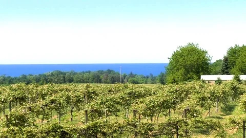 Slow Zoom Winery Stock Footage 93162855