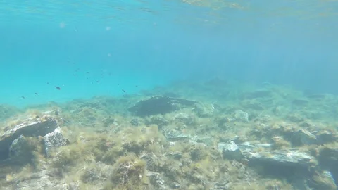 SlowDriftShallowReef1 Stock-Footage 257561162