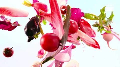 Slower fall of different vegetables Stock Photos