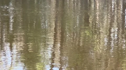 Slower water current calming movement Stock Footage 230028811