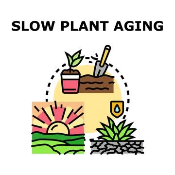 Slowing plant aging process, gardening and nature care Stock Illustration