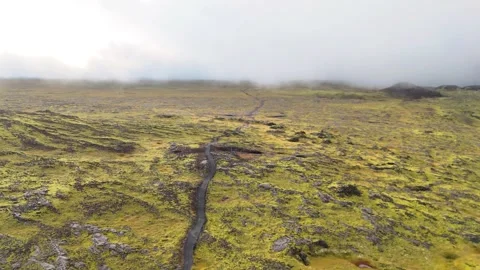 Slowly Advancing Across Moss-Covered Terrain in Iceland Video stock 342271674