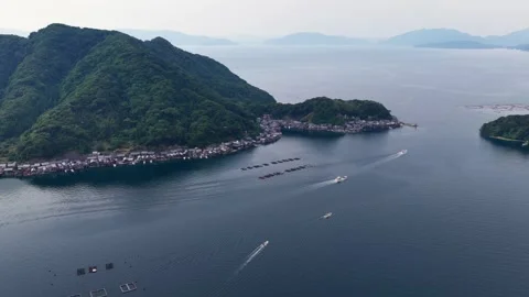 Slowly Advancing Drone View of Ine Funaya Boathouses, Japan Video stock 342256737