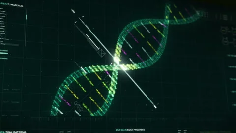 Slowly Analysing the Genetic Code of the Genome using the Research Software 스톡 동영상 242843578