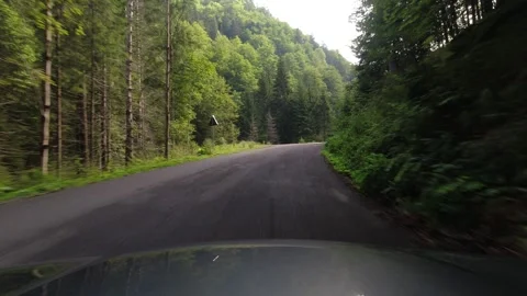 Slowly driving through the forests of Romania 4K footage Video stock 252173974